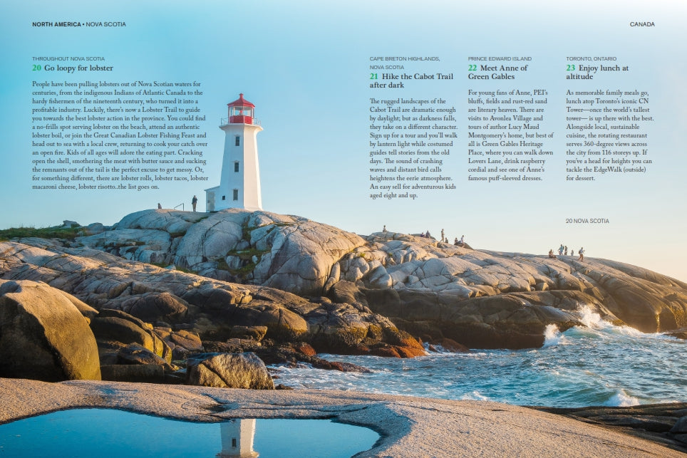 The Family Bucket List bog